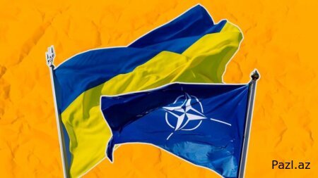 Украина просит НАТО о приглашении