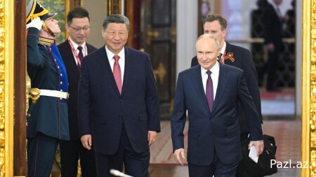 Путин и Си провели переговоры в Кремле