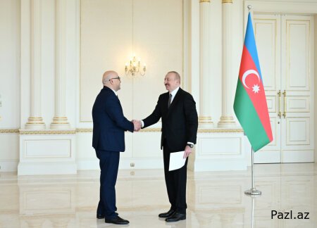 Алиев принял посла Палестины
