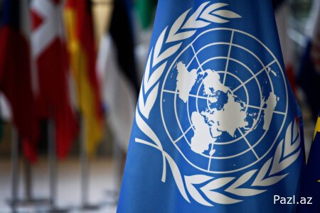 ООН распространила обращение Алиева о разоблачении исламофобии