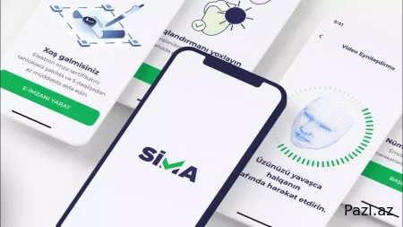 Проблемная SİMA