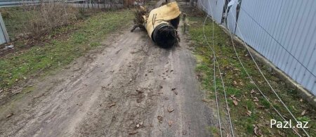 Последствия российского террора