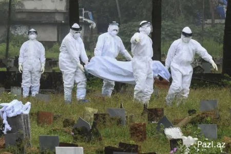 Вирус Нипах - повторение  COVID-19 ?