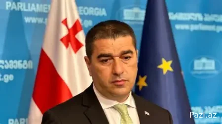 Кризис грузинской политической субъектности