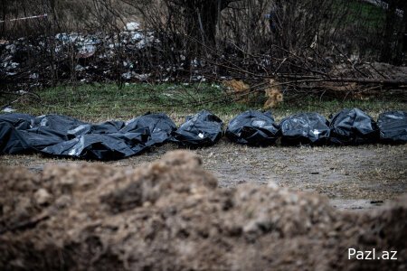 Страшная статистика преступлений России