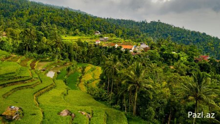 Сказочное Бали : ожидаемый финал