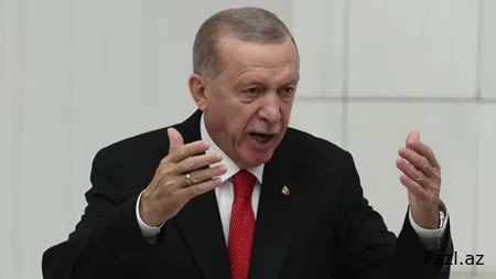 Эрдоган обвинил Израиль