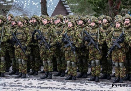 Эстония готовится к войне