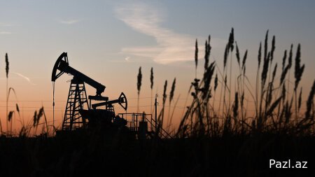 Рухнули нефтедоходы России