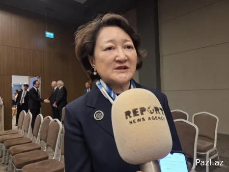 "Азербайджан играет важную роль в ОТГ"