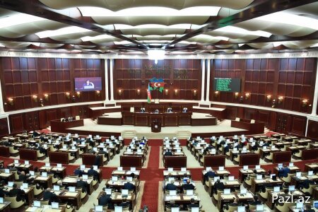 Позорные статистика и молчание депутатов ММ