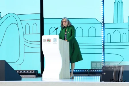 "Лидерство Азербайджана на WUF13 достойны похвалы"